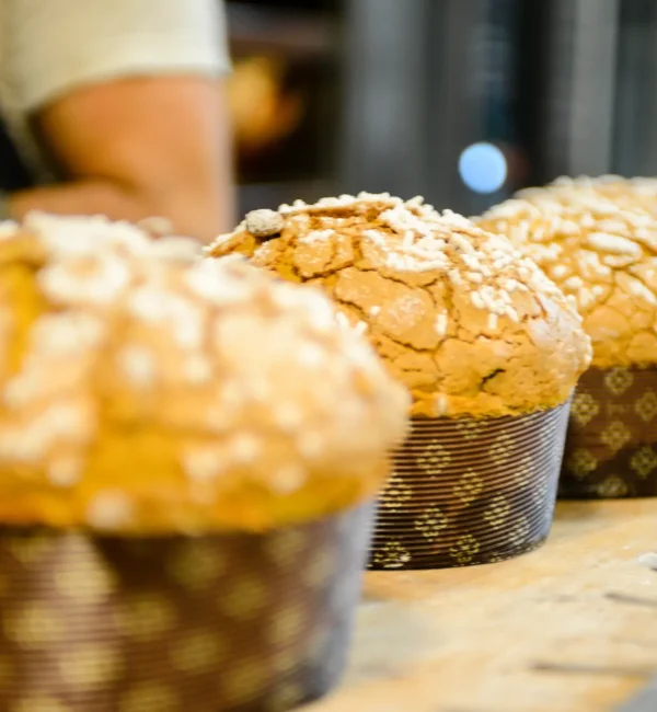 panettoni-lievitati-pasticceria-vanin